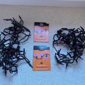 2 Strands of Purple Mini Indoor/Outdoor Incandescent Lights - 120 Lights Total
